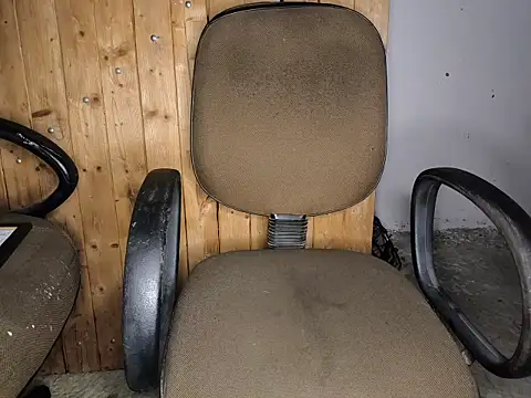 fs carioca online show from 15, 1, 2026