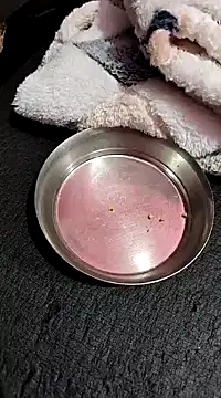 Snapshot of Whitehouse01 chatting on 13, 1, 2025 Whitehouse01 online show from 13, 1, 2025