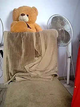 Snapshot of lovelygirl4567 chatting on 10, 11, 2025 lovelygirl4567 online show from 10, 11, 2025