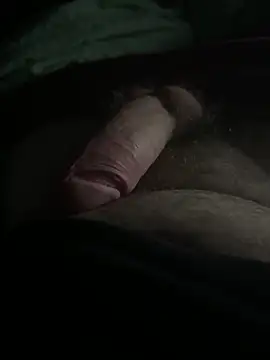 Snapshot of dragos211 chatting on 27, 3, 2026 dragos211 online show from 27, 3, 2026