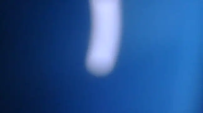 yourguyjack online show from 15, 3, 2025