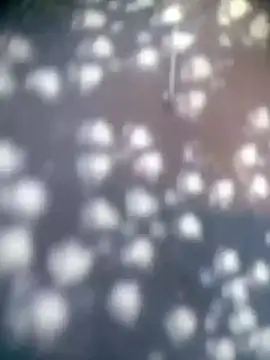 Snapshot of Amaya_Bajwa chatting on 15, 11, 2025 Amaya Bajwa online show from 15, 11, 2025