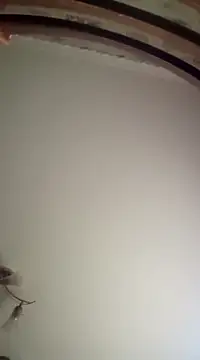 Lauren Amabel online show from 16, 3, 2025