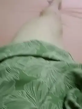 curtindo-muito82 online show from 11, 2, 2026