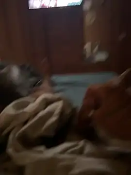 ferdi190 online show from 11, 10, 2025