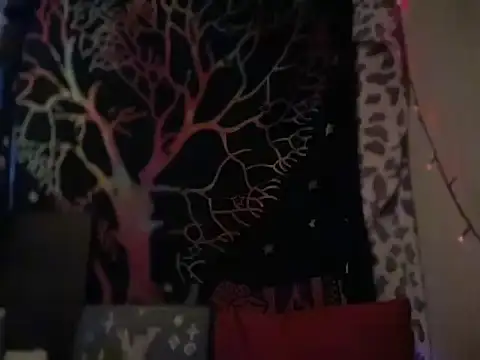 badboy366 online show from 5, 2, 2026