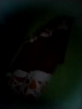 safado0027 online show from 9, 11, 2025