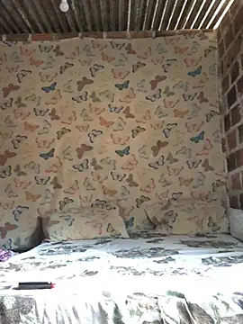 PretinhaOfc online show from 12, 1, 2025