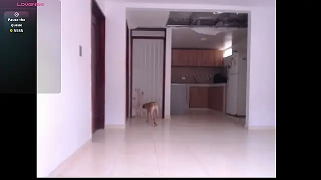 Snapshot of leslycarsson chatting on 7, 10, 2025 leslycarsson online show from 7, 10, 2025