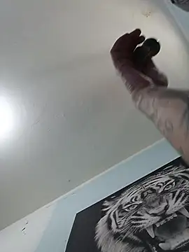 dany hardy online show from 16, 11, 2025