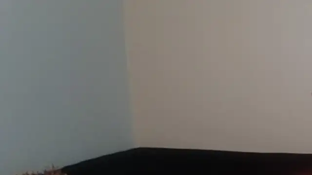 hairyncuteass online show from 13, 2, 2025