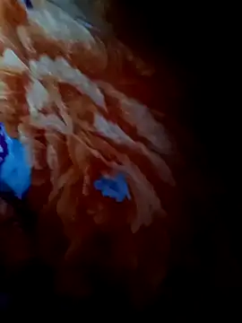 Snapshot of rameshjisex chatting on 12, 11, 2025 rameshjisex online show from 12, 11, 2025