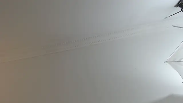 BrandonColee online show from 10, 2, 2025