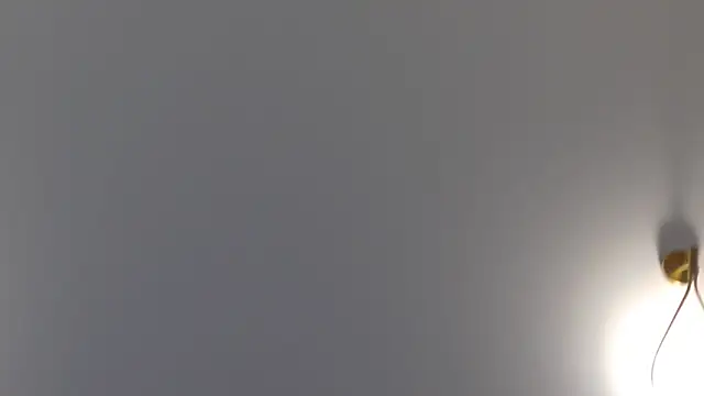 Lilliana Moon online show from 30, 1, 2025