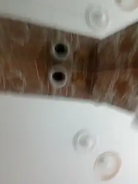 nelly88 xxx online show from 4, 2, 2026