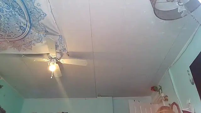 hunybunz69 online show from 28, 2, 2025