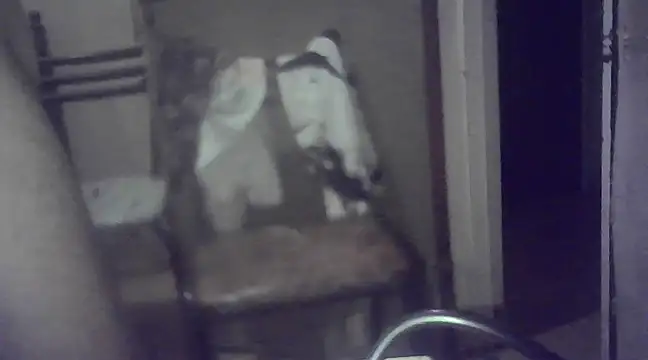 Snapshot of EstebanAkyLu chatting on 26, 1, 2025 EstebanAkyLu online show from 26, 1, 2025