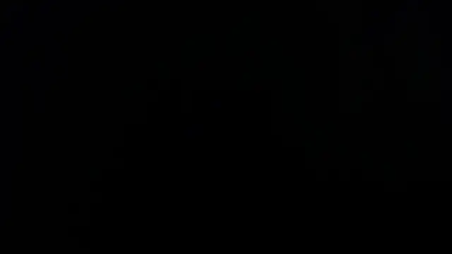 luxurycoupl online show from 4, 11, 2025