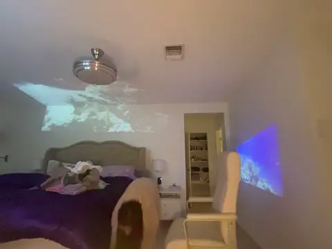 geld 88 online show from 4, 10, 2025