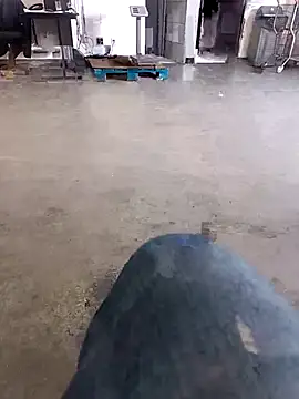 Snapshot of Trixboy201 chatting on 29, 9, 2025 Trixboy201 online show from 29, 9, 2025