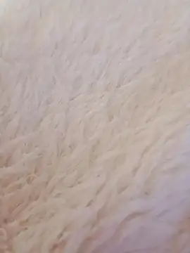 feketedemon36 online show from 21, 1, 2025