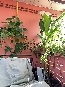 Snapshot of White_Lu chatting on 14, 4, 2026 White Lu online show from 14, 4, 2026