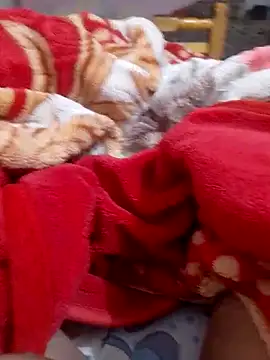 mhmia online show from 6, 2, 2025