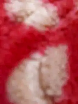 mhmia online show from 8, 2, 2025