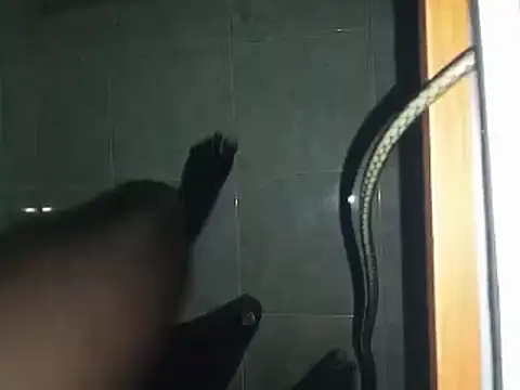 Snapshot of world_bigdick1 chatting on 2, 3, 2025 world bigdick1 online show from 2, 3, 2025