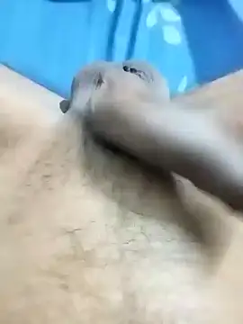 Playboy bhabhi 00 online show from 31, 1, 2025