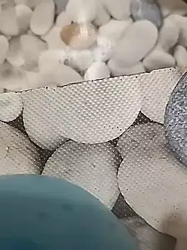 Playboy bhabhi 00 online show from 14, 2, 2025