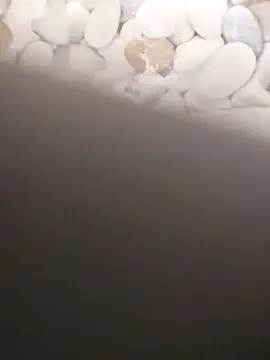 Playboy bhabhi 00 online show from 20, 2, 2025