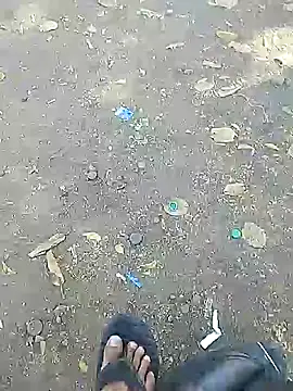 Playboy bhabhi 00 online show from 20, 2, 2025