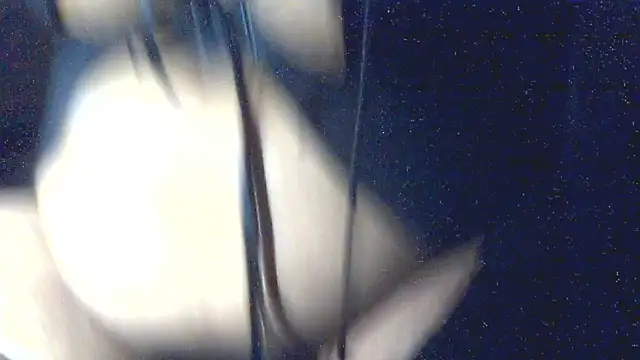 Snapshot of Leelasissy chatting on 6, 3, 2026 Leelasissy online show from 6, 3, 2026