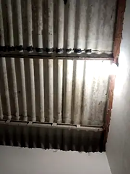 Snapshot of LoonyIdiot chatting on 8, 4, 2026 LoonyIdiot online show from 8, 4, 2026