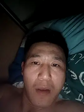 wadmma online show from 26, 2, 2026