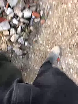 66MA69 online show from 31, 1, 2025