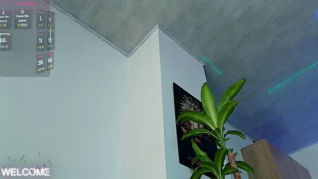 Dwayne Brown online show from 31, 3, 2026