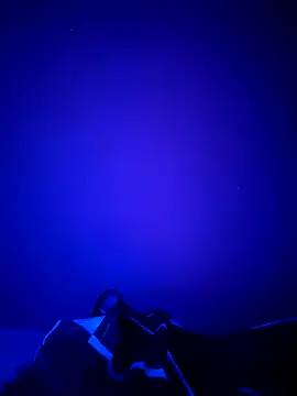 Snapshot of Dehtrans chatting on 11, 3, 2026 Dehtrans online show from 11, 3, 2026