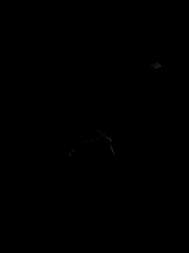 Codybugs0206 online show from 22, 11, 2025