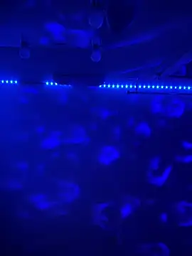 Snapshot of BBSTRING chatting on 15, 11, 2025 BBSTRING online show from 15, 11, 2025