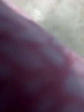 simrun70 online show from 16, 11, 2025