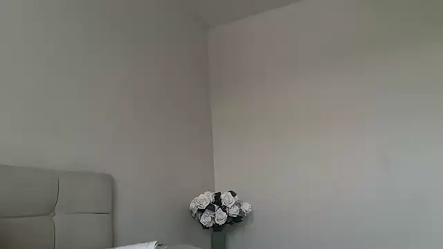 skyejde online show from 15, 11, 2025