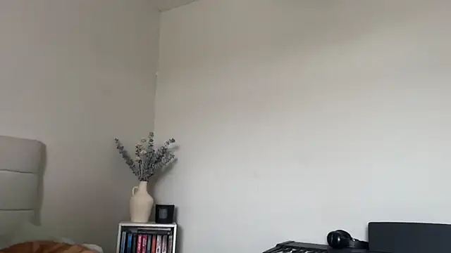 Snapshot of skyejde chatting on 1, 3, 2026 skyejde online show from 1, 3, 2026