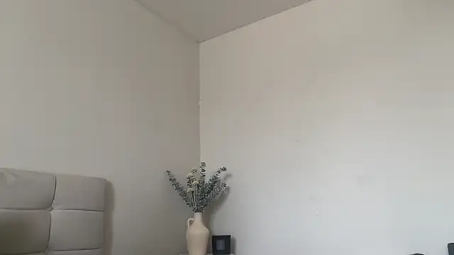 Snapshot of skyejde chatting on 13, 3, 2026 skyejde online show from 13, 3, 2026