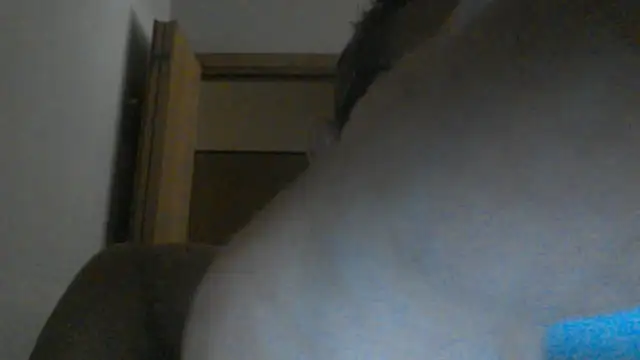 eccomi6996 online show from 25, 6, 2026