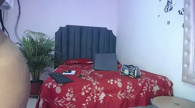 moree Queen online show from 5, 3, 2025