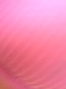 Snapshot of Dulce__Boyd chatting on 11, 11, 2025 Dulce Boyd online show from 11, 11, 2025