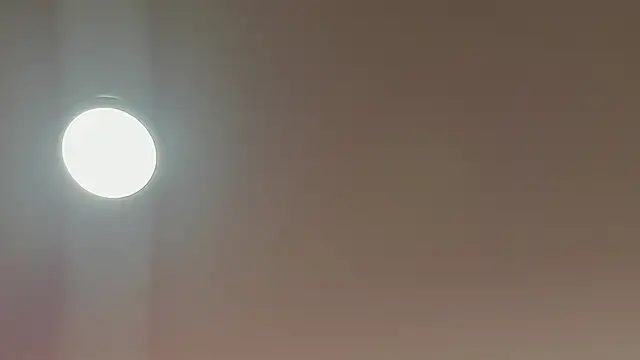 alice lodge online show from 22, 3, 2025