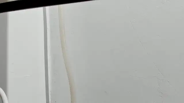 Snapshot of Aleshkastone chatting on 11, 1, 2026 Aleshkastone online show from 11, 1, 2026